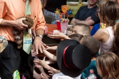 11351259_1431036863871544_5785246989074986784_n